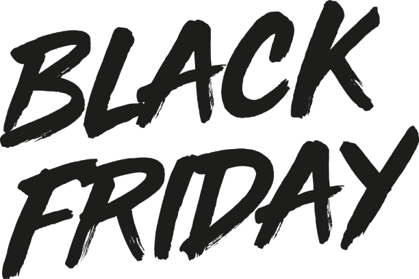 Black Friday PMax Flight